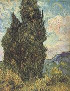 Vincent Van Gogh Cypresses (nn04) Spain oil painting reproduction